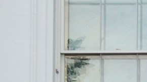 Trump Casa Blanca Coronavirus