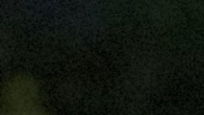 El artista escénico mexicano Fernando Palapa, más conocido como Shangela Di Marti, le lleva un poco de alegría a Corona, con su show en el restaurante Trío