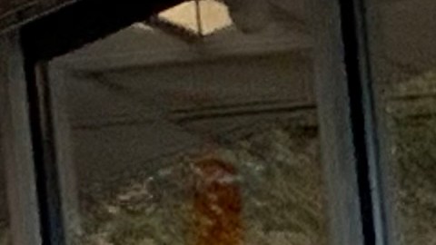 Restricciones en zonas rojas y naranja de contagios del COVID-19 podrían durar semanas