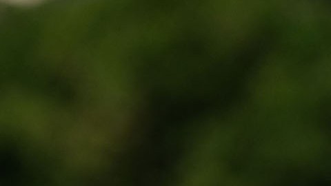 Aumentan a 11 las zonas postales de incremento de casos del COVID-19 en NYC