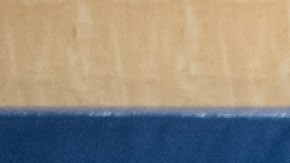 Temen actos de intimidación y supresión de votantes en elecciones generales en NYC y piden denunciar