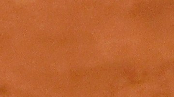 Djokovic podría estar en problemas nuevamente.