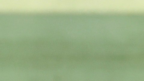 En esta temporada, Coutinho ha marcado un tanto en Champions League y otro en La Liga.