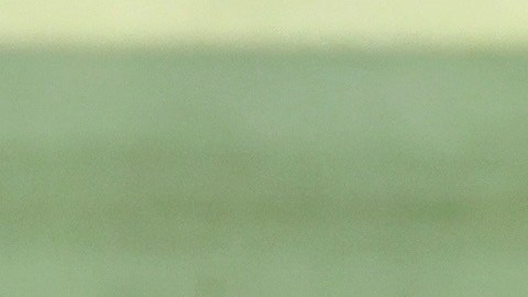 En esta temporada, Coutinho ha marcado un tanto en Champions League y otro en La Liga.