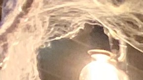 Annette Sosa, del restaurante vegano de Astoria Savage Sicko