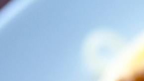 Bolognesa-Angele J en Pexels