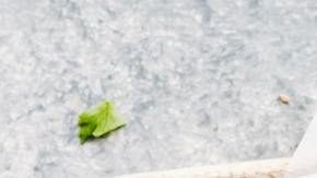 Ella Olsson en Pexels