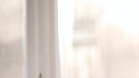 Cansancio y la falta de energía son algunos síntomas de anemia por falta de hierro.