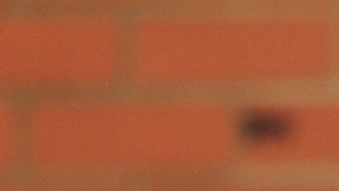 Alex Morgan aún espera su debut.