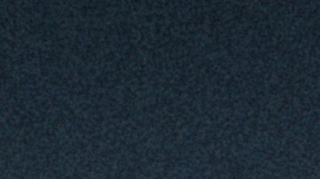 Dascha Polanco3422_1