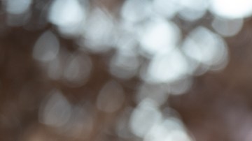 Dianne Morales,  de origen afro-latino, es una de las aspirantes a la Alcaldía de Nueva York para el 2021