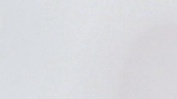 Dra. Natalia Cifuentes.