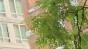 El mexicano Reynaldo Jiménez, del restaurante Patrón, de Manhattan.