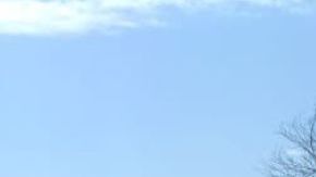 Escena de crimen estado de México