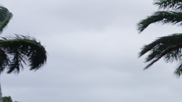 El huracán tocó tierra en Puerto Morelos, Quinta Roo.