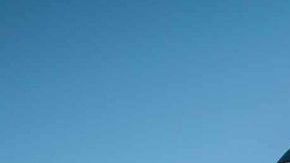 FORD F-150 Raptor. / Foto: Cortesía Ford.