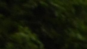 Activistas se han opuesto a cambios migratorios, incluidos los programas de refugio y asilo, del presidente Trump.