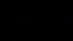 Pharrell Williams y Helen Lasichanh