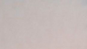 Shay Shariatzadeh y John Cena contrajeron nupcias hace unos días.