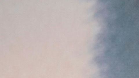 Shay Shariatzadeh y John Cena contrajeron nupcias hace unos días.