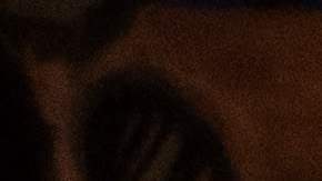 El cheque del Seguro Social vendrá acompañado de un aumento para los jubilados