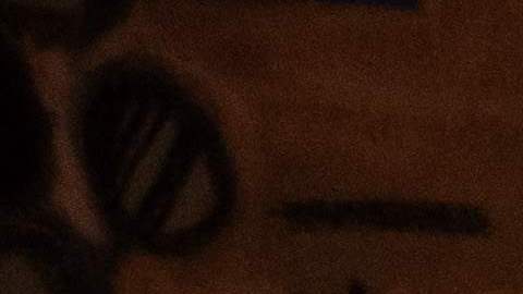 El cheque del Seguro Social vendrá acompañado de un aumento para los jubilados