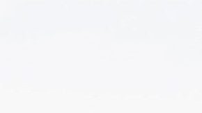 Un Costco con un cenote se convierte en un atractivo turístico en México