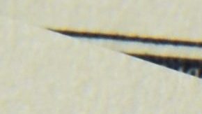 Qué hacer si se te pasó el plazo de IRS para reclamar tu cheque de estímulo de $500 dólares para dependientes