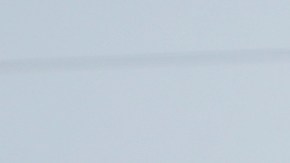 Ante las crecientes protestas en Orlando, un hombre creyó buena idea ir armado a Disney World