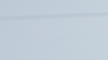 Ante las crecientes protestas en Orlando, un hombre creyó buena idea ir armado a Disney World