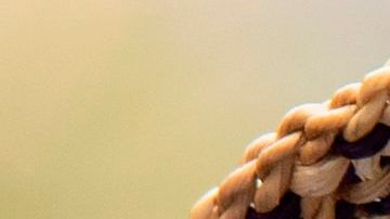 Estados Unidos se prepara para una nueva ola de desalojos