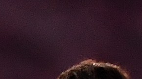 Álvaro González supuestamente le dijo “mono hijo de puta” al brasileño.