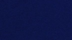 Donald Trump o Joe Biden, ¿a quién favorecen los astros?