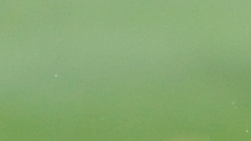 Correa retó a los “haters” de los Astros.