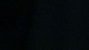 La primera dama, Melania Trump, llegó al recinto con tapabocas, pero se lo quitó al sentarse.