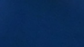 La campaña demócrata aprovechó la viralidad del incidente para su promoción.