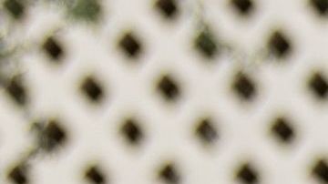 Las encuestas pronostican una ventaja de Biden en Arizona.