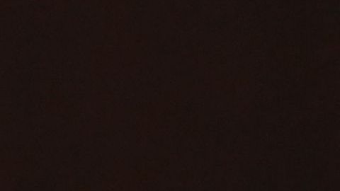 La jueza Amy Coney Barrett.