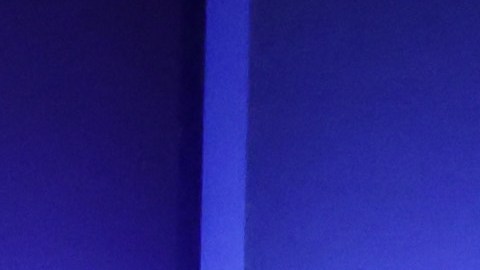 Donald Trump y Joe Biden participan en el último debate presidencial en Nashville, Tennessee.