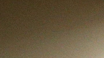 Gervonta Davis y Floyd Mayweather