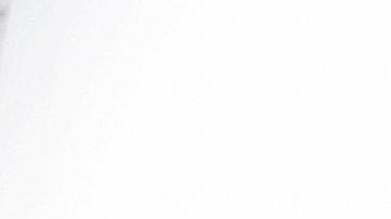 En 2008, la familia Trump se sentía orgullosa de su edificio en Chicago.