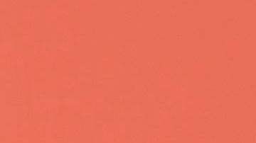 Blac Chyna posa junto a la sexy modelo Amber Rose.