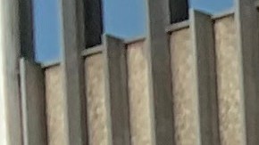 La pastora Leonor Gómez exige la liberación de su esposo Hugo Rolando Gómez quien sufre de COVID-19 en el Centro de Detención de Adelanto. (Araceli Martínez/La Opinión)