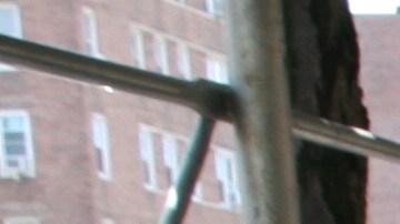 Los votantes no deben tener obstáculos a la hora de sufragar en Nueva York.