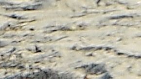 La modelo Tina Louise es captada junto a su amado Sean Combs.