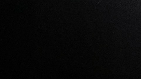 Maya Wiley fue una de las principales asistentes legales de De Blasio.