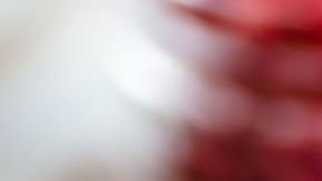 El cacao es rico en flavonoides que actúan como antioxidantes y que ayudan a reducir la inflamación cerebral.