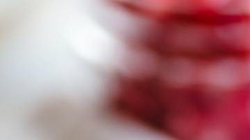 El cacao es rico en flavonoides que actúan como antioxidantes y que ayudan a reducir la inflamación cerebral.