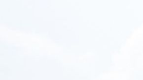 Colectivo lleva su plantón al Zócalo.