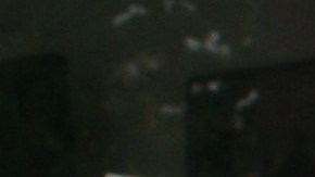 NYPD en El Bronx/Archivo.